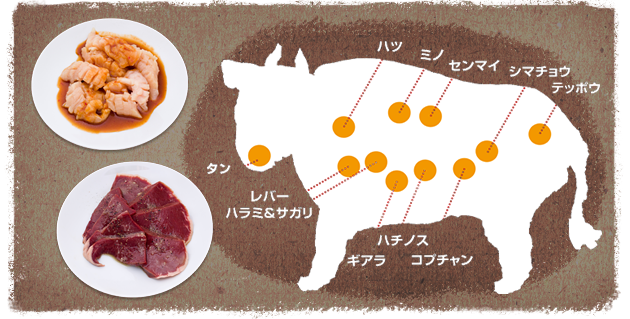 ホルモン名称